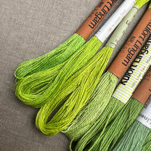Load image into Gallery viewer, Green Vintage Linen Tread