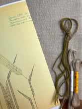 Load image into Gallery viewer, Nordiska Barley (1960s)