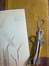 Load image into Gallery viewer, Nordiska Barley (1960s)