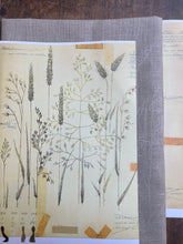 Load image into Gallery viewer, Nordiska Harvest (1960s)