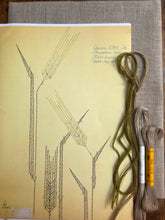 Load image into Gallery viewer, Nordiska Barley (1960s)
