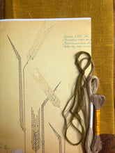 Load image into Gallery viewer, Nordiska Barley (1960s)