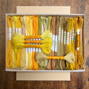 Yellow Mustard Colour Chart Gift Box